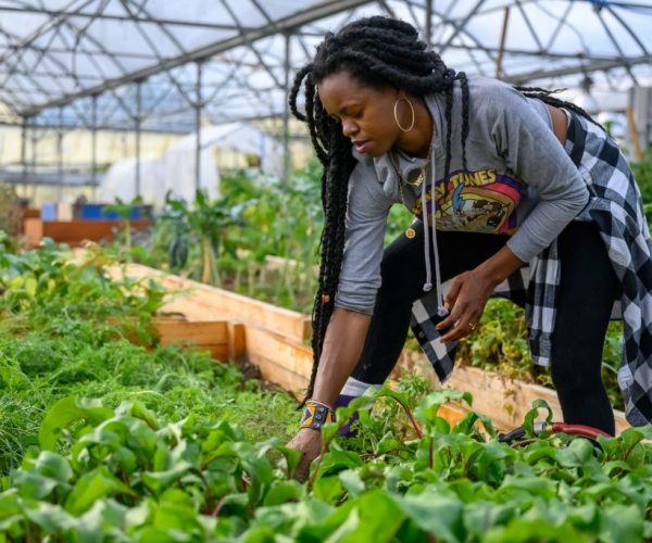 farming-for-changing-1024x683